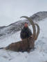 Kazakh Ibex-image7