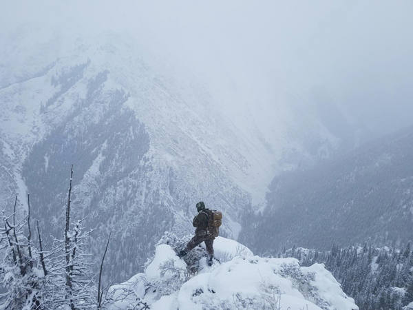 Kazakh Ibex