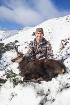 Rutting Chamois of the Lewis Pass-image