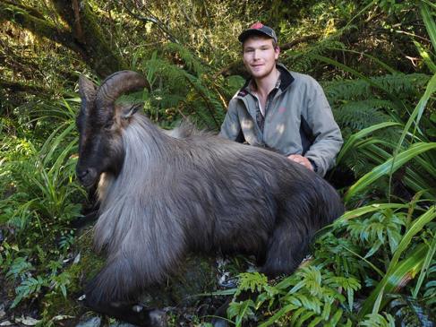 Tahr and Chamois Season-image1