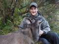 Tahr and Chamois Season-image3